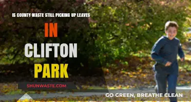 Clifton Park Leaf Pickup: Is County Waste Still Collecting Leaves?