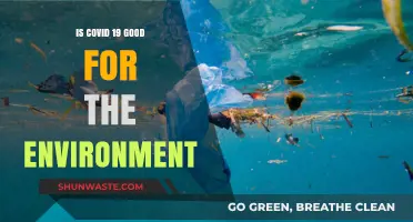 COVID-19's Environmental Impact: A Silver Lining Amidst the Pandemic?