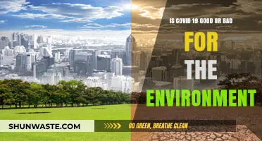 COVID-19's Environmental Impact: A Blessing or Curse for Nature?