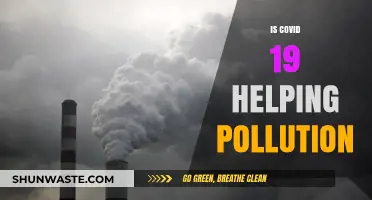 Lockdowns' Impact: COVID-19's Surprising Effect on Pollution