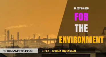COVID's Environmental Impact: A Silver Lining Amidst the Pandemic?