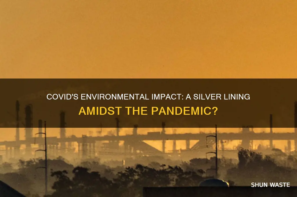 is covid good for the environment