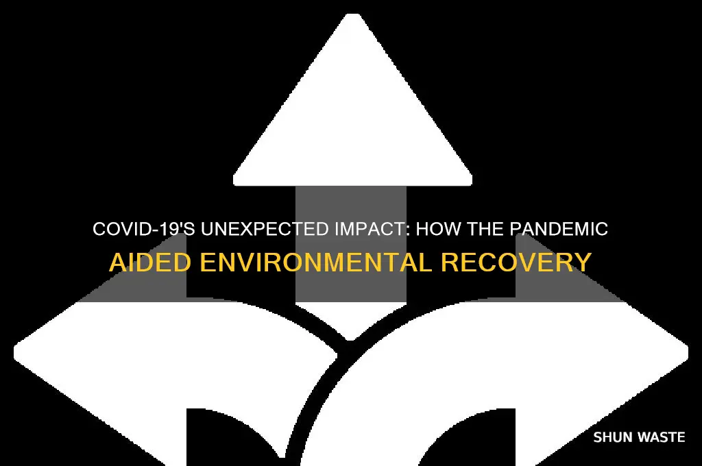is covid helping environment