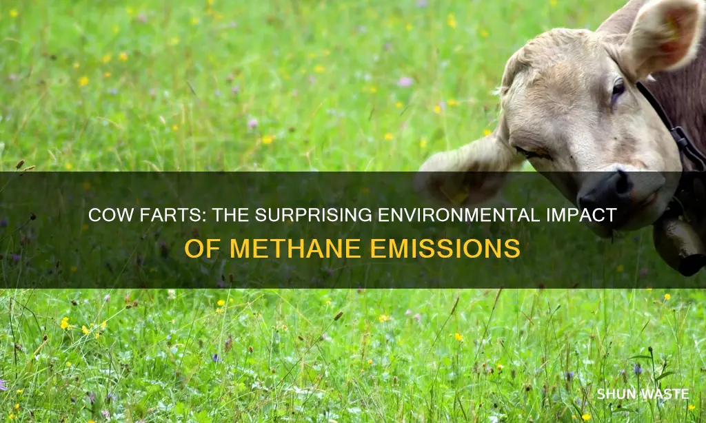 is cow fart methane a cause of pollution