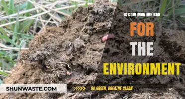 Cow Manure's Environmental Impact: Harmful or Sustainable Practice?