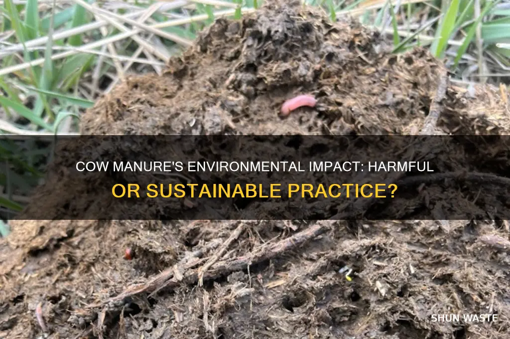 is cow manure bad for the environment