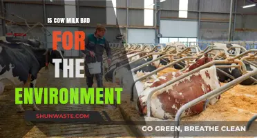 Is Cow Milk Harming Our Planet? Environmental Impact Explored