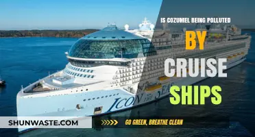 Cruise Ships Polluting Cozumel: What's the Real Damage?
