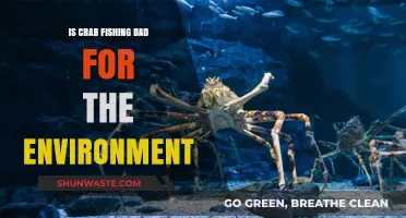 Crab Fishing's Environmental Impact: Sustainable Practice or Ecological Threat?