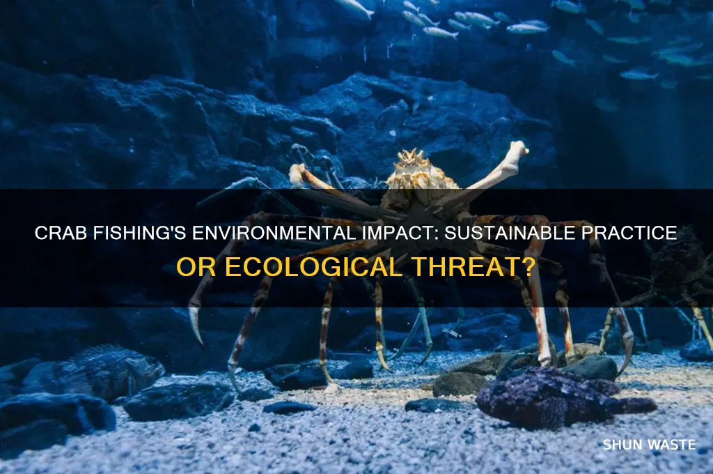 is crab fishing bad for the environment
