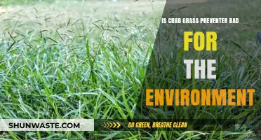 Crabgrass Preventer: Environmental Impact and Sustainable Lawn Care Alternatives