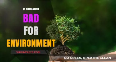 Is Cremation Eco-Friendly? Exploring Its Environmental Impact and Alternatives