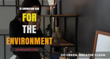 Is Cremation Eco-Friendly? Exploring Its Environmental Impact and Alternatives