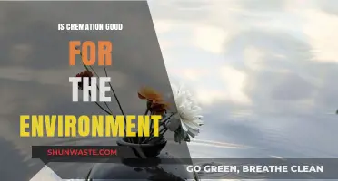 Is Cremation Eco-Friendly? Exploring Its Environmental Impact and Benefits