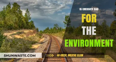 Creosote's Environmental Impact: Harmful Effects and Sustainable Alternatives