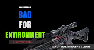 Crossbows and Ecology: Environmental Impact of Modern Hunting Tools