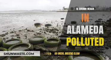 Crown Beach's Pollution Problem in Alameda: An Overview