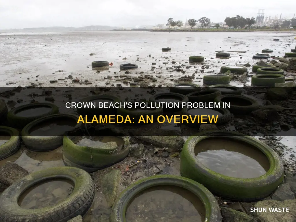 is crown beach in alameda polluted