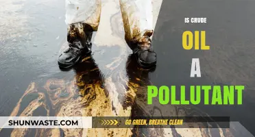 Crude Oil: Pollutant or Resource?