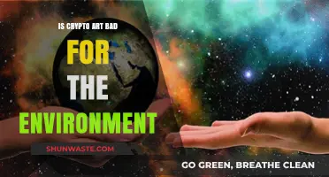 Crypto Art's Environmental Impact: Sustainable or Harmful for Our Planet?