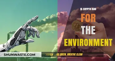 Is Crypto Harming Our Planet? Exploring Its Environmental Impact