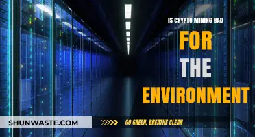Crypto Mining's Environmental Impact: Sustainable or Ecological Disaster?