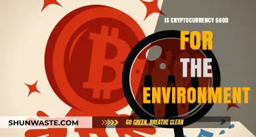 Cryptocurrency's Environmental Impact: Sustainable Future or Ecological Threat?