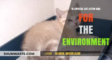 Crystal Cat Litter: Eco-Friendly Choice or Environmental Hazard?