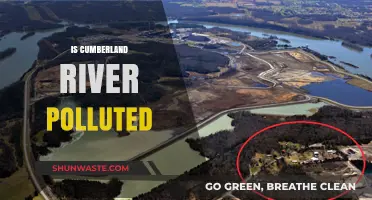 Cumberland River Pollution: What's the Status?