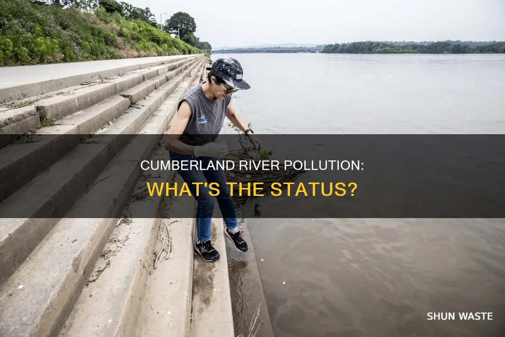 is cumberland river polluted