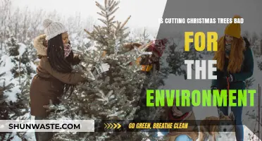 Are Christmas Trees Eco-Friendly? Environmental Impact of Cutting Trees
