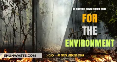 Debunking Myths: Is Deforestation Beneficial for Our Environment?