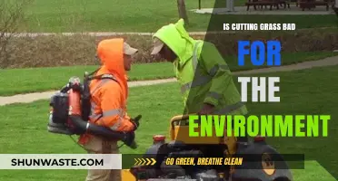 Is Lawn Mowing Harming Our Planet? Environmental Impact Explored