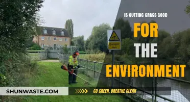 Is Cutting Grass Eco-Friendly? Uncovering the Environmental Impact of Lawn Care