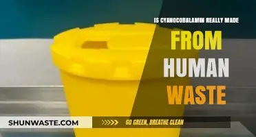 Cyanocobalamin's Surprising Source: Human Waste or Industrial Myth?