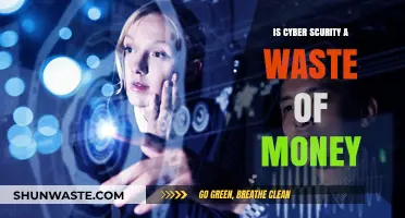 Is Cybersecurity a Waste of Money? Debunking Myths and Realities