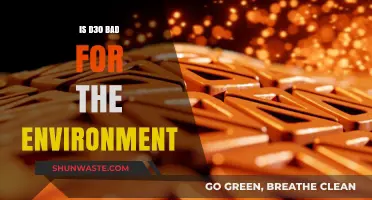 Is D30 Eco-Friendly? Environmental Impact of D30 Materials Explained