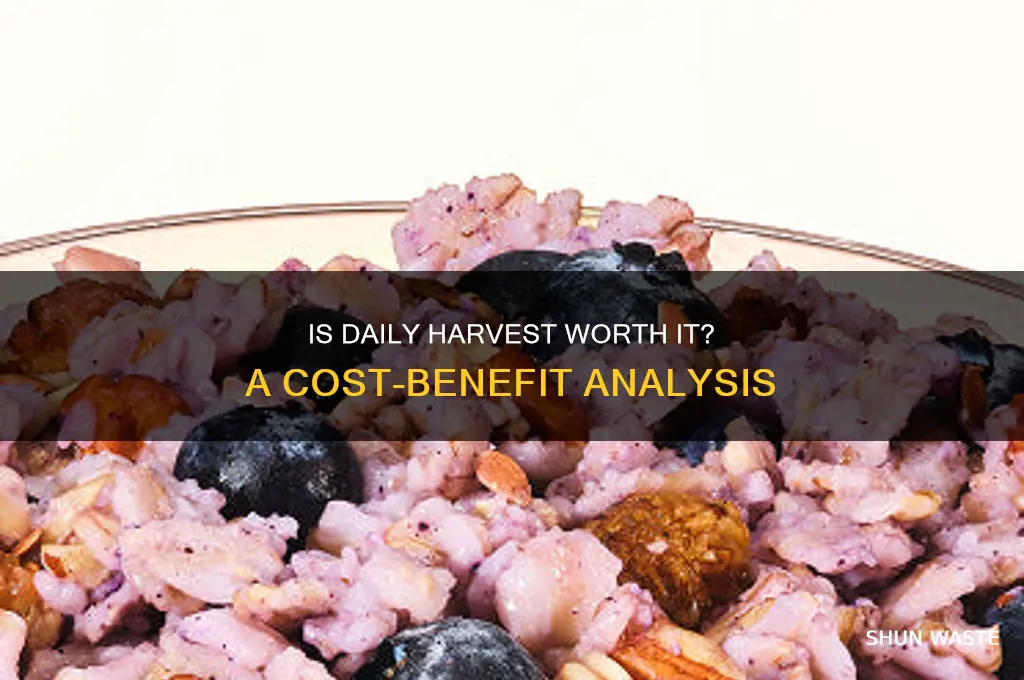is daily harvest a waste of money