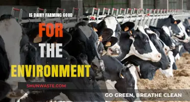 Dairy Farming's Environmental Impact: Sustainable Practice or Ecological Concern?