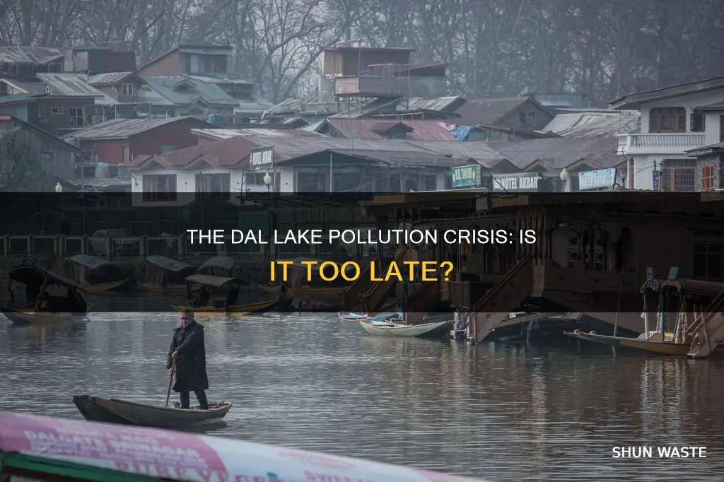 is dal lake polluted