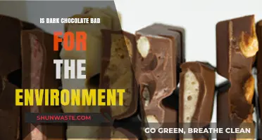 Dark Chocolate's Environmental Impact: Sustainable Indulgence or Eco-Friendly Myth?
