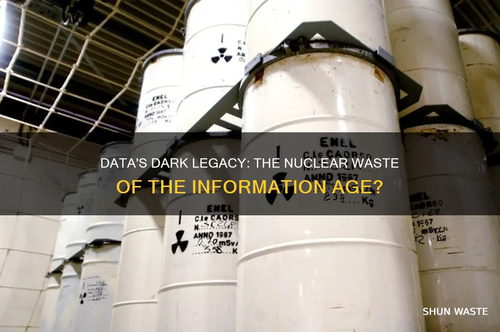 is data the nuclear waste of the information age