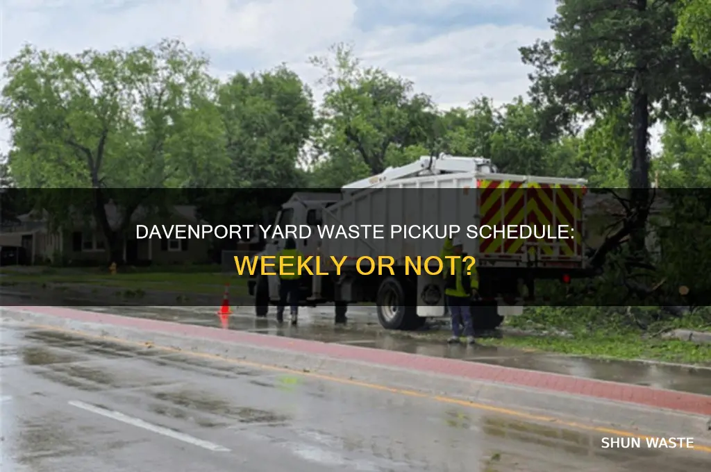 is davenport yard waste picked up each week