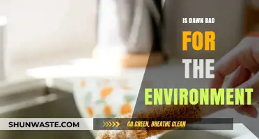 Is Dawn Dish Soap Eco-Friendly? Environmental Impact Explained