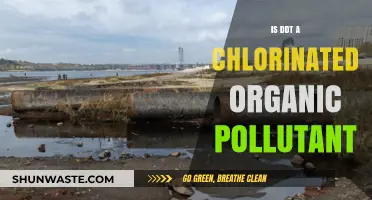 DDT: Chlorinated Organic Pollutant or Not?
