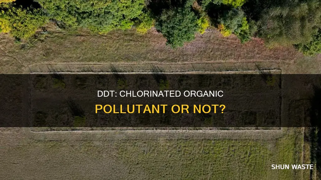 is ddt a chlorinated organic pollutant