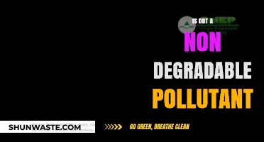 DDT's Degradable Impact: Understanding its Environmental Persistence