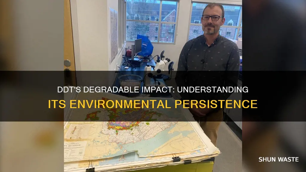 is ddt a non degradable pollutant