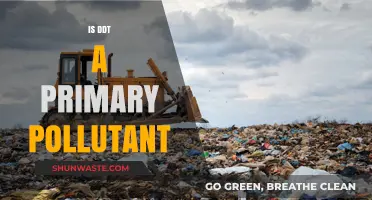 DDT's Primary Pollution: Understanding the Chemical's Impact
