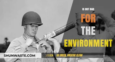DDT's Environmental Impact: Harmful Effects and Ecological Consequences Explained